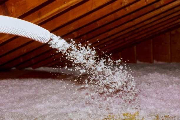 Best Specialty Insulation in Somonauk, IL
